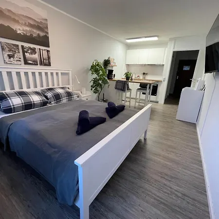 Apartment In Freudenstadt-kniebis Freudenstadt