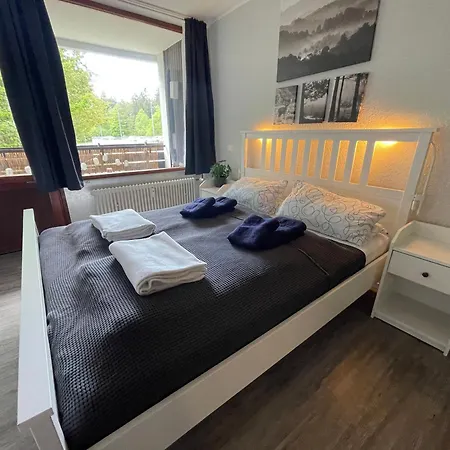 In Freudenstadt-kniebis I, Schwarzwald *