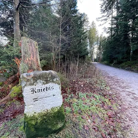 In Freudenstadt-kniebis I, Schwarzwald דירה פרוידנשטאדט